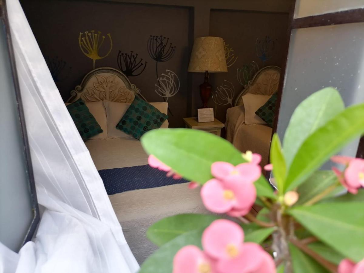 סאן מיגל דה אלנדה Hotel Santa Ana מראה חיצוני תמונה